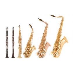 Brass & Woodwind