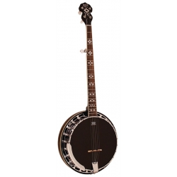 Barnes & Mullins BJ400 5 String Banjo